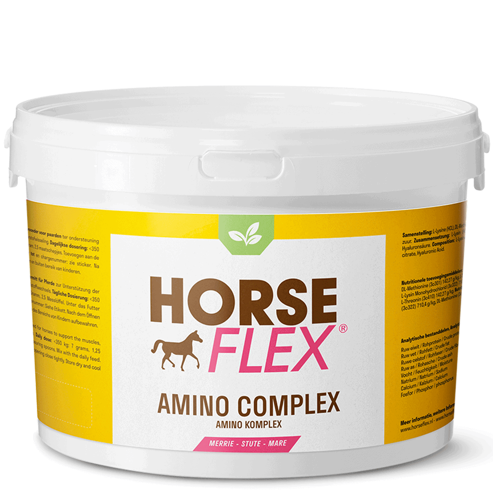 Horseflex Amino Complex Merrie